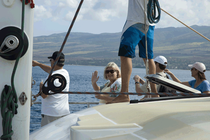 whale watching on the catamaran