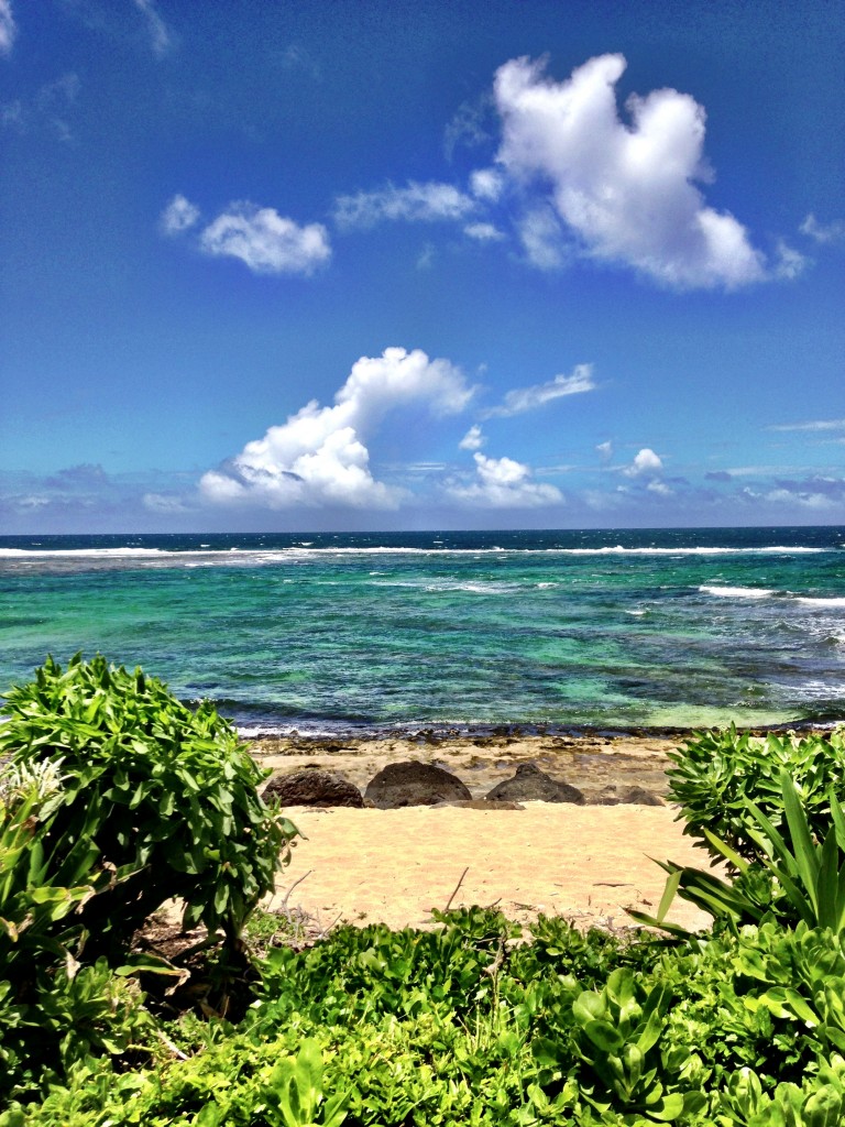 beach on kauai