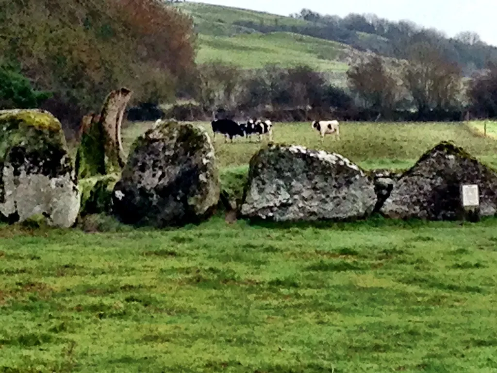 Lough Gur, Bruff, Ireland