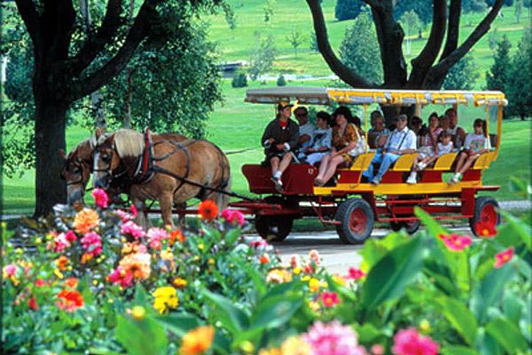 carriage rides