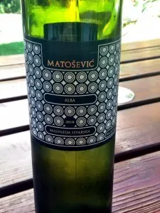 Malvasia