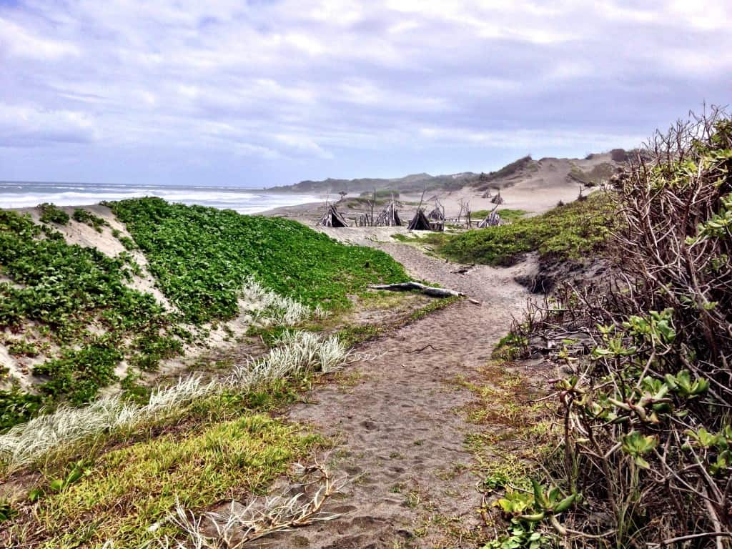 Sigatoka Sand Dunes