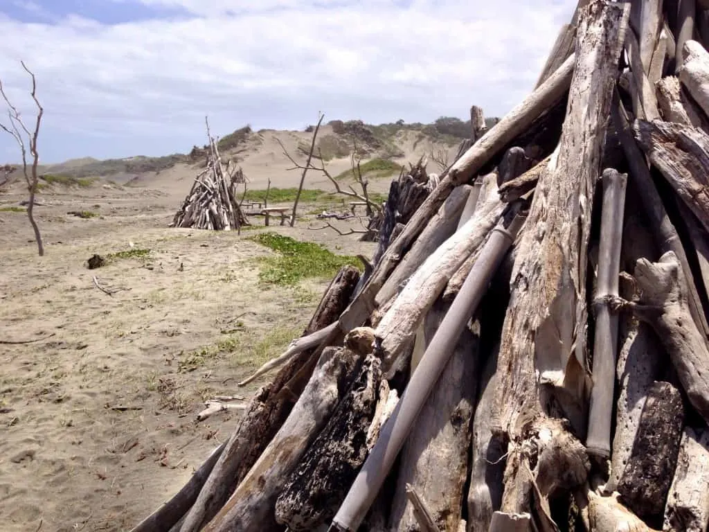 Sigatoka Sand Dunes