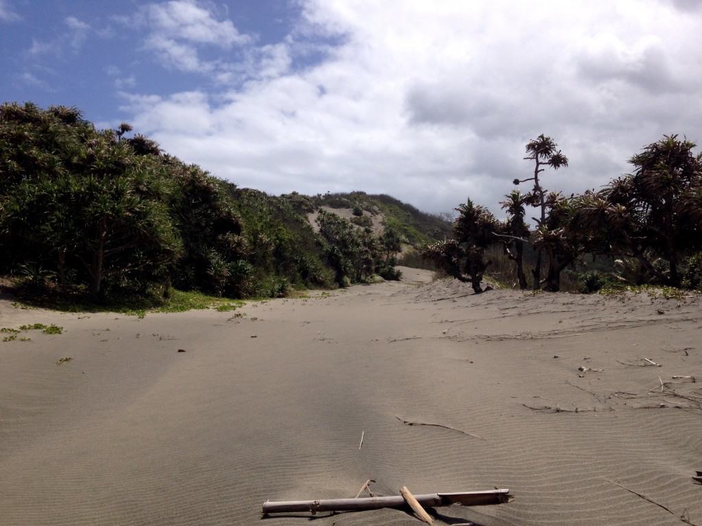 Sigatoka Sand Dunes