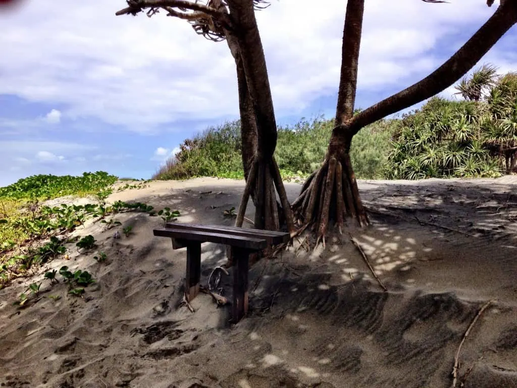 Sigatoka Sand Dunes