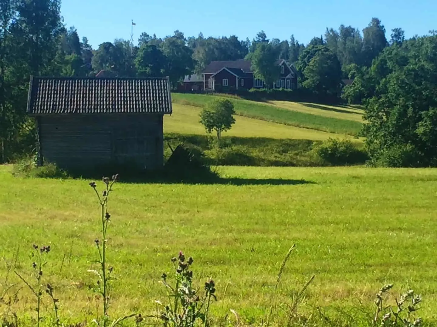 dalarna-farm