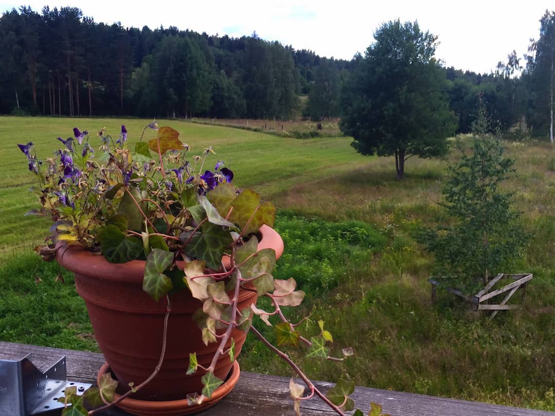 summer in Dalarna