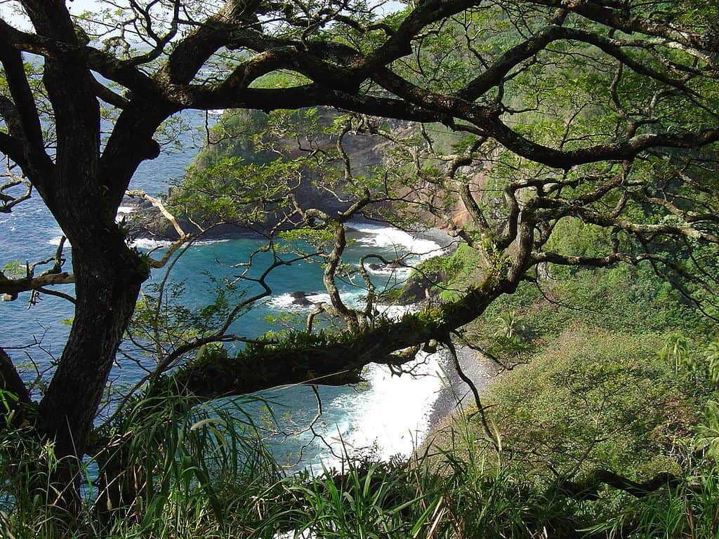 View from Hana Road