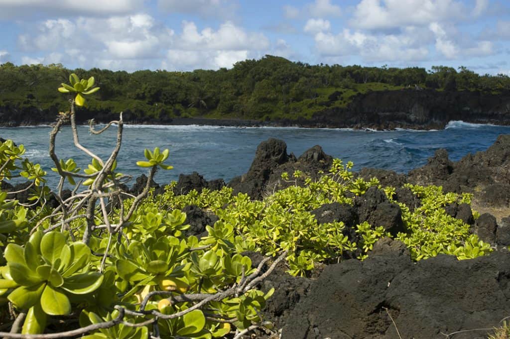 On the Road to Hana Hawaii 8