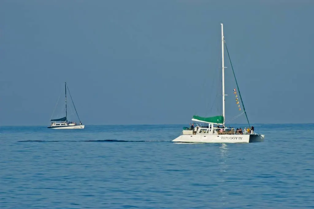 Whale Watching Boats of Maui