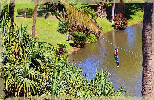 maui zipline