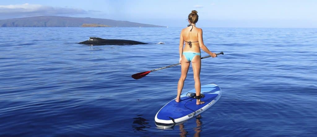 paddle on maui