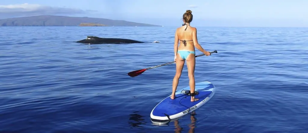 paddle on maui