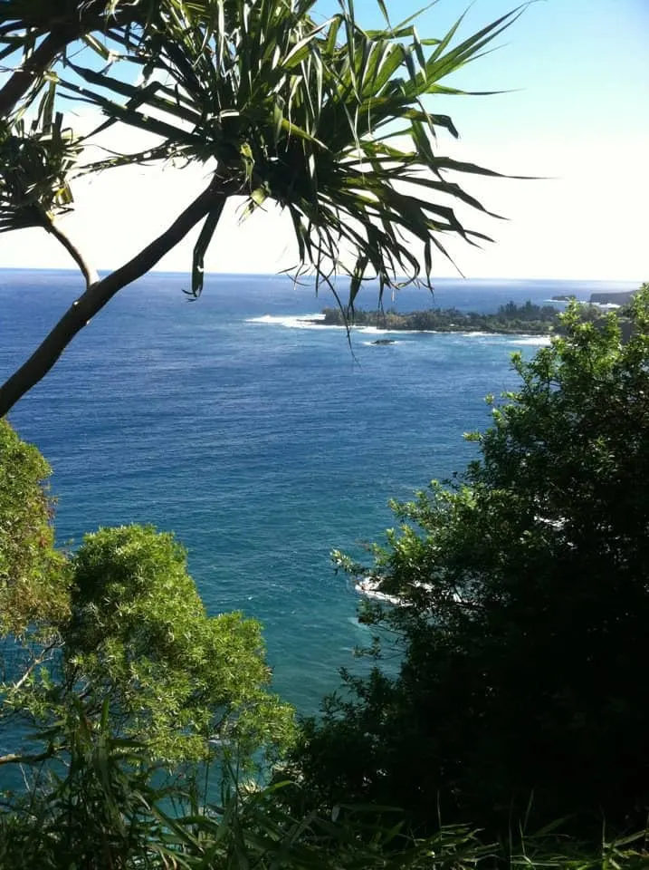 road to hana view