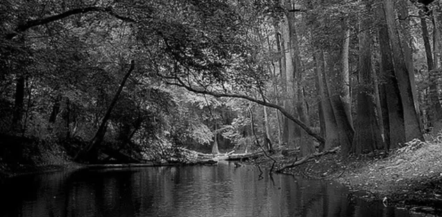 relatively unknown national parks Congaree