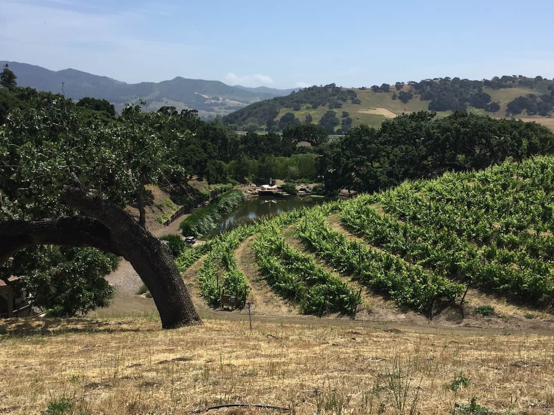 santa ynez valley ambience