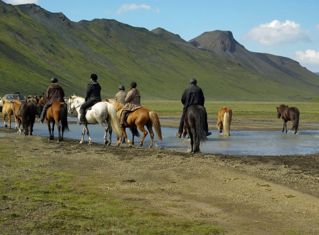 icelandic horseback riding