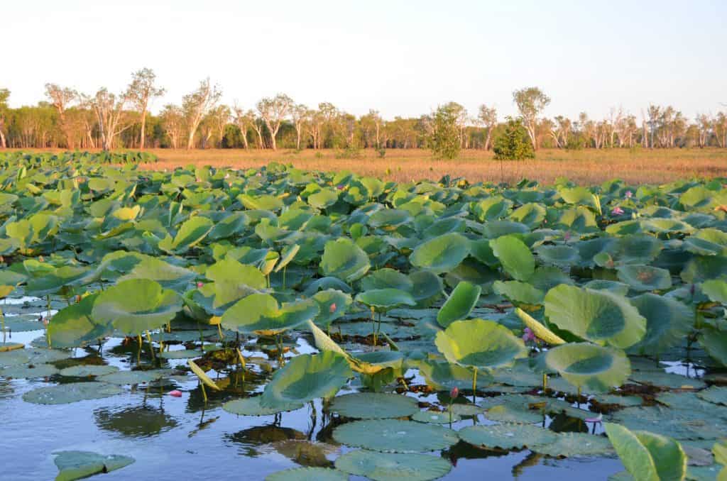 bucket list for greater australia kakadu national park