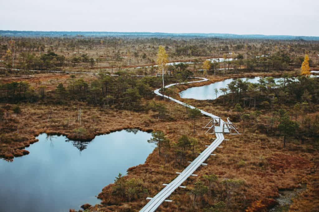 Day Trips from Riga - Kemeri Bog