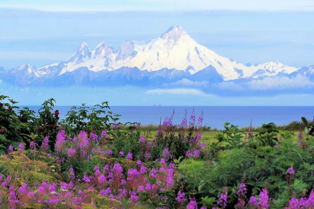 alaska denali mt mckinley