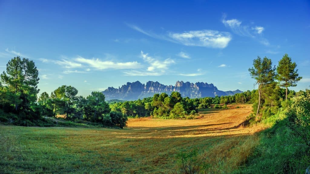 day tours in Barcelona: Montserrat