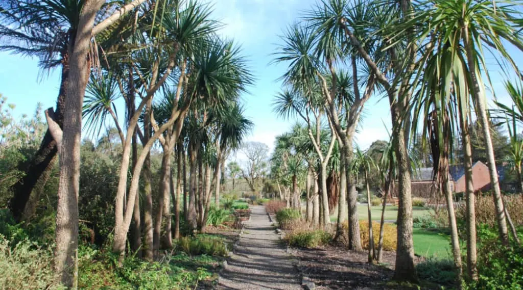 logan botanic garden scotland