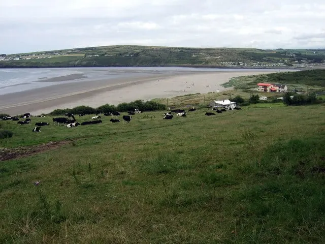 uk walking trails pembrokeshire coast path