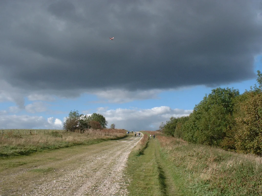 south downs way