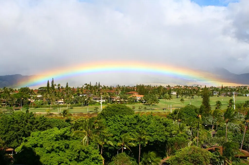 view from the royal lahaina hotel