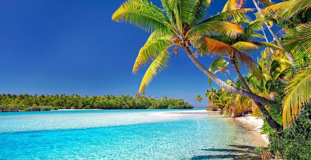 cook islands tropical beach