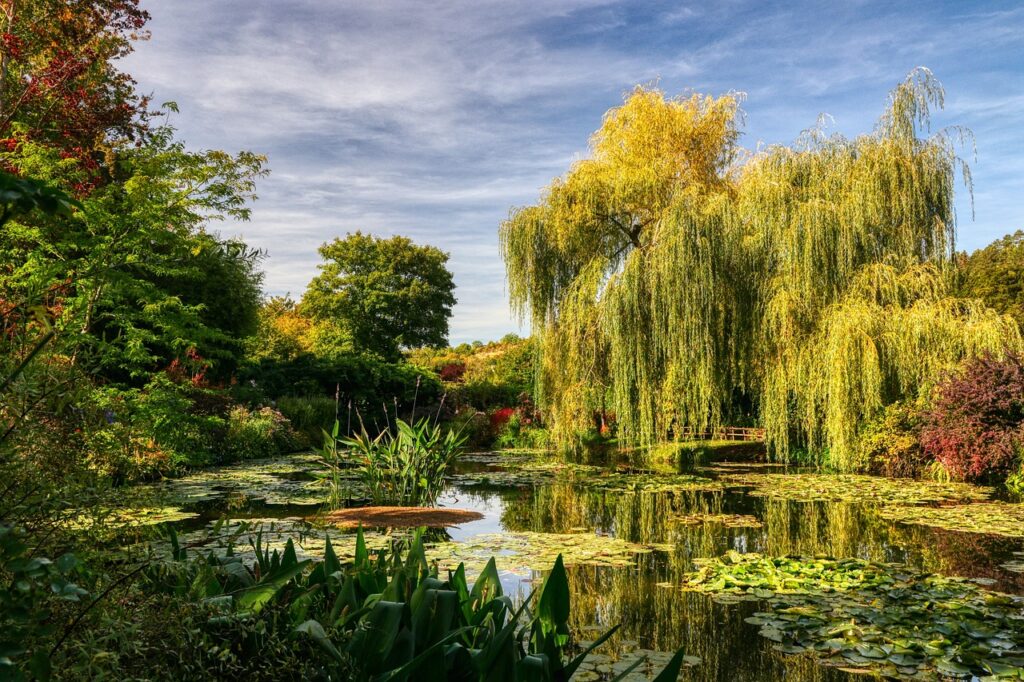 garden at giverny