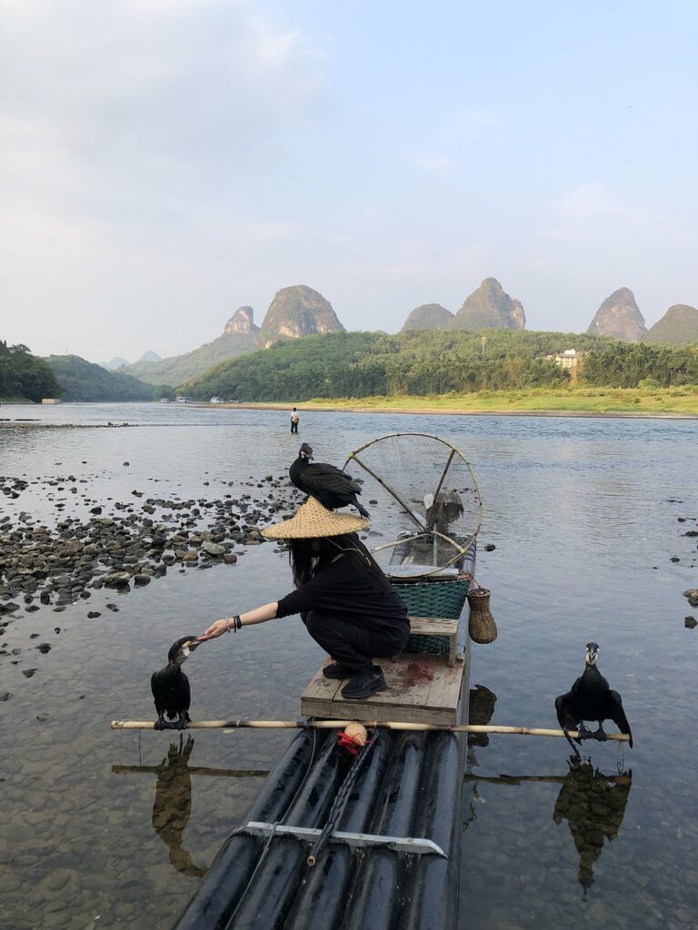 guilin bird fisherman