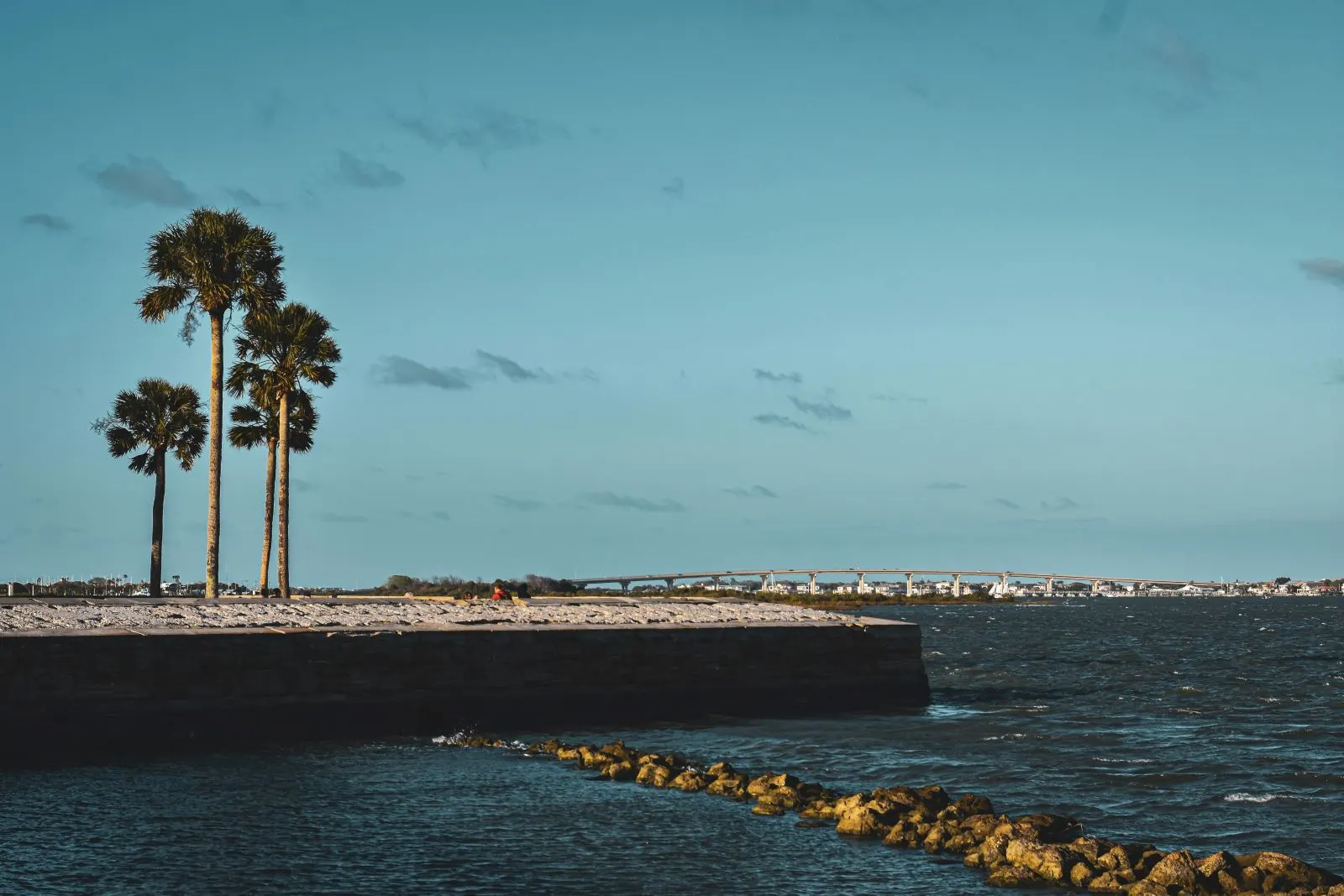 Alt. tag: Three palm trees on the shore 