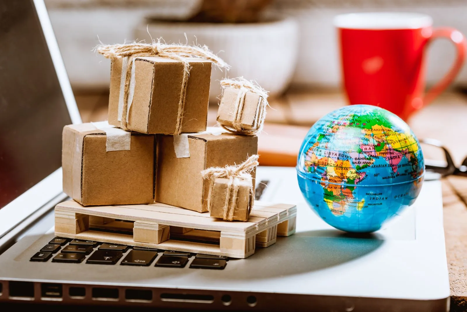 Tips for a Successful Relocation