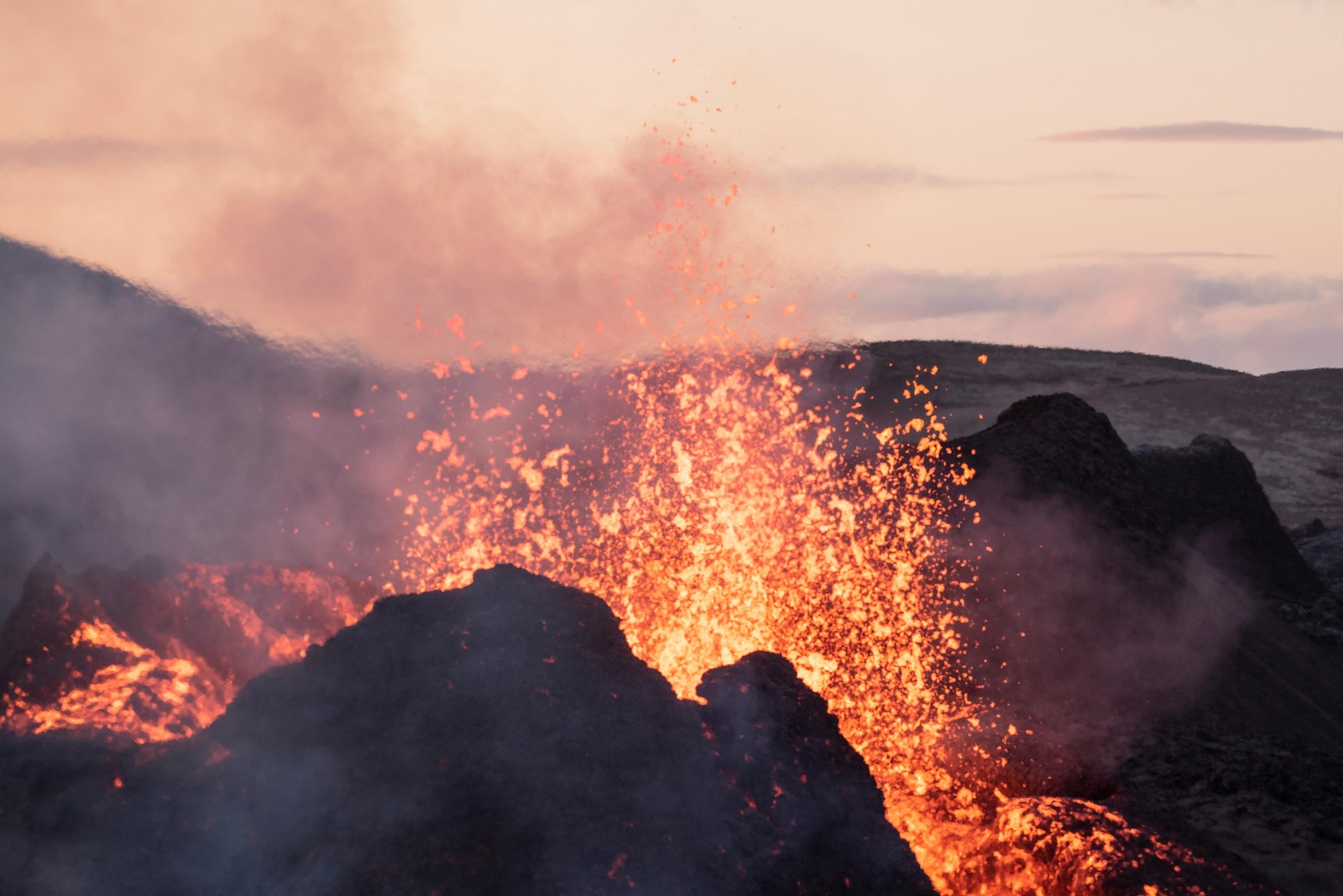 pexels just icelandic 10897014 1