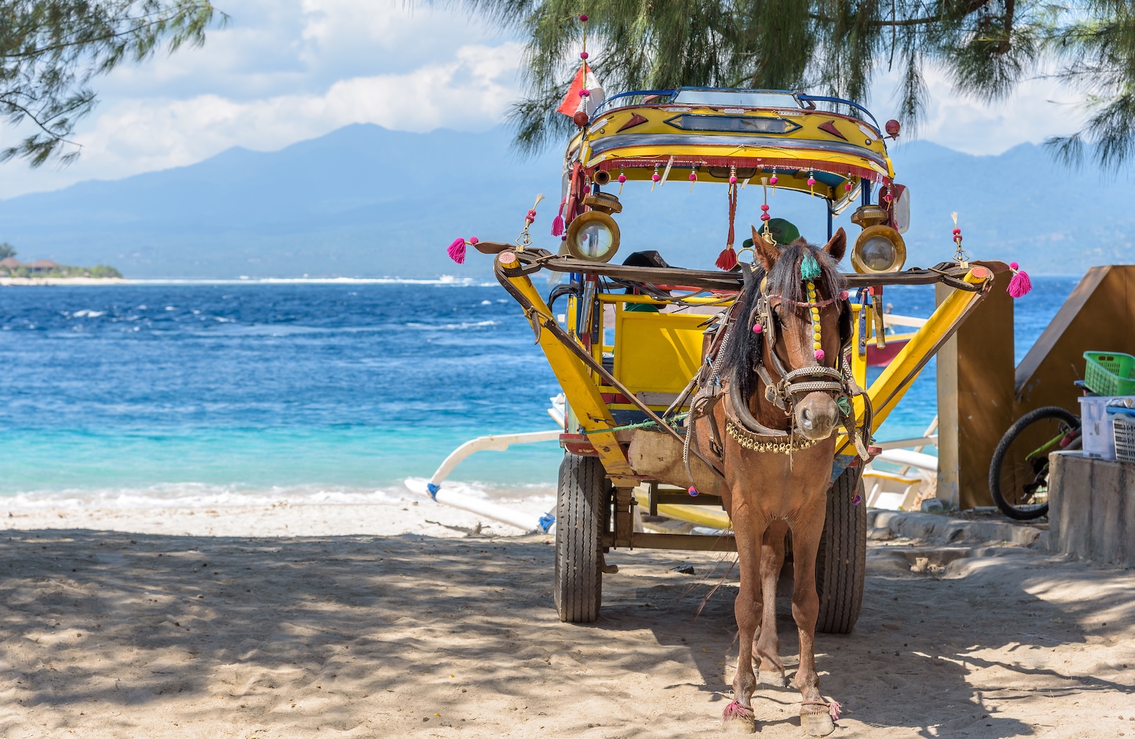 Work horse at the island of Gili Tranwagan, Lombok.